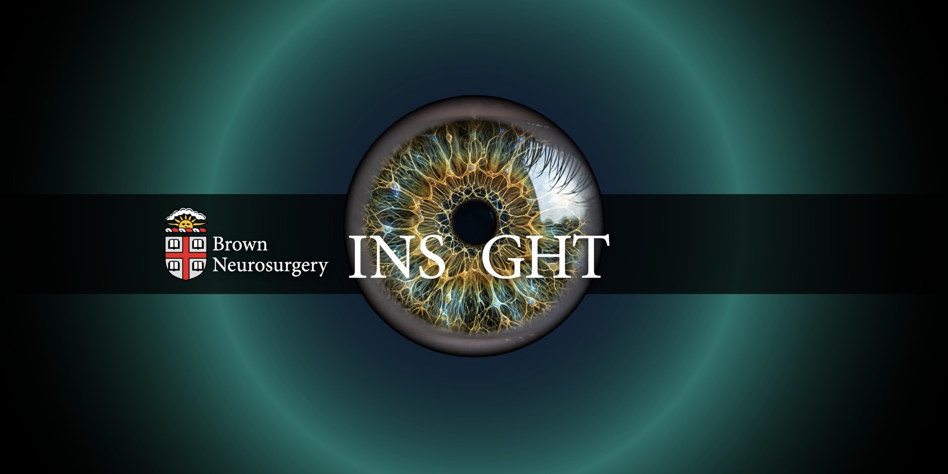 Brown Neurosurgery INSIGHT — Interactive NeuroSurgical Guide for Health Teaching